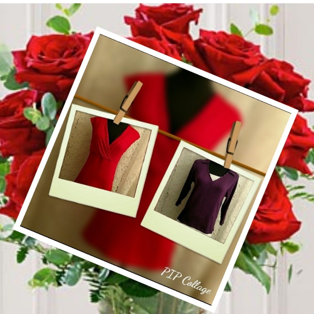 Bundle 2~4~1